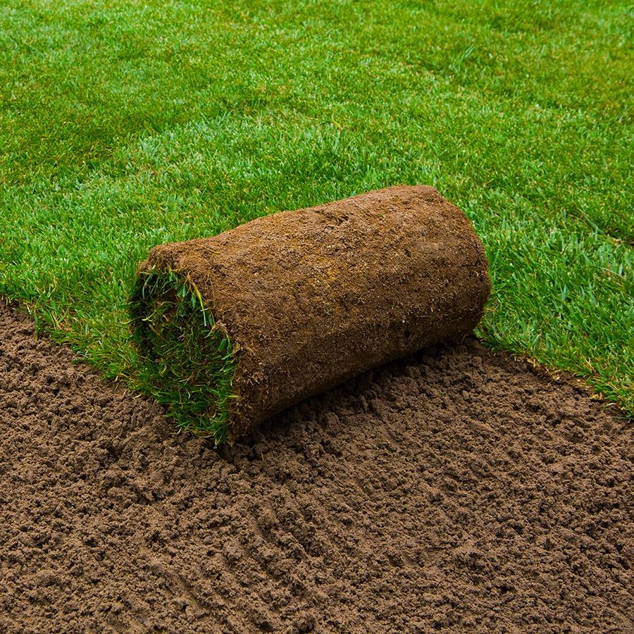 Picture of Turf Roll 40cm X 250cm Approx Coverage 1M2