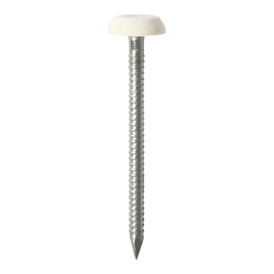 Picture of Timco Polymer Headed Stainless Steel Nails White 65mm Box 100