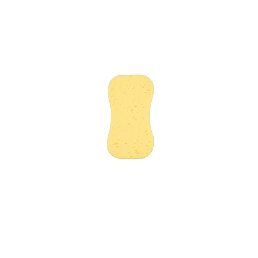 Picture of Harris Essentials Large Decorating Sponge