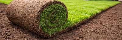 Turf